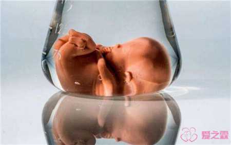 厦门专业的代孕哪里有_试管婴儿可以做双胞胎吗？做龙凤胎的秘密是什么？