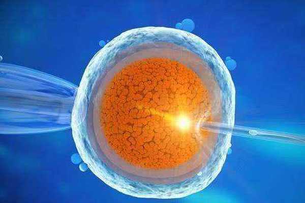 厦门口碑好试管代怀_试管放2个胚胎的成活率一定比1个高吗？